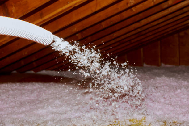 Best Specialty Insulation in Rising Sun Lebanon, DE