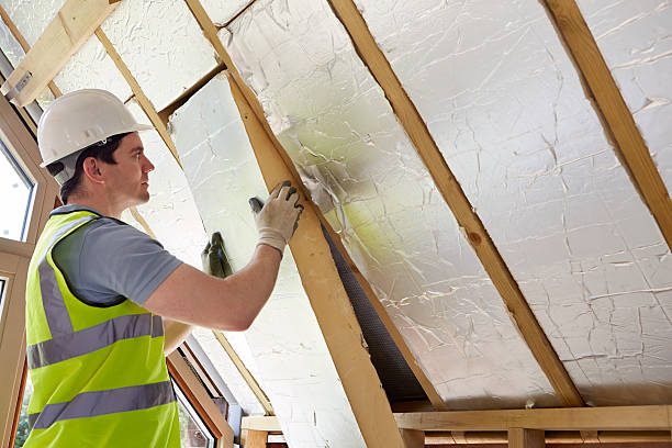 Best Residential Insulation in Rising Sun Lebanon, DE